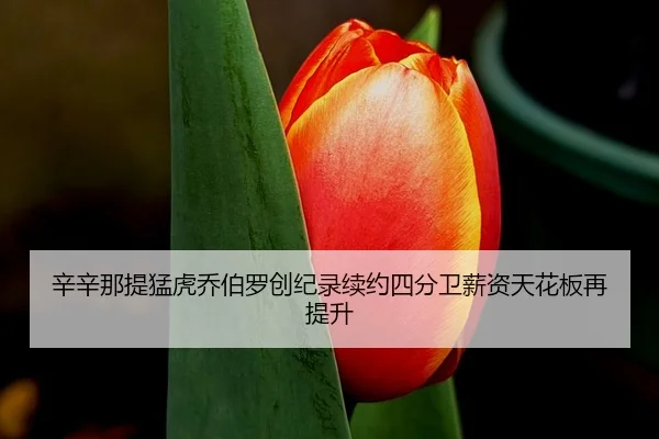 xin-xin-na-ti-meng-hu-qiao-bo-luo-chuang-ji-lu-xu-yue-si-fen-wei-xin-zi-tian-hua-ban-zai-ti-sheng-2-687.jpg